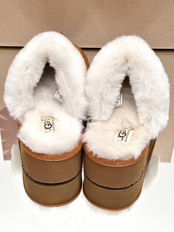 Ugg Women