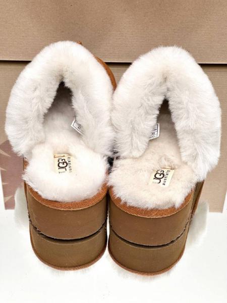 Ugg Women