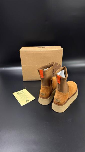 Ugg Women